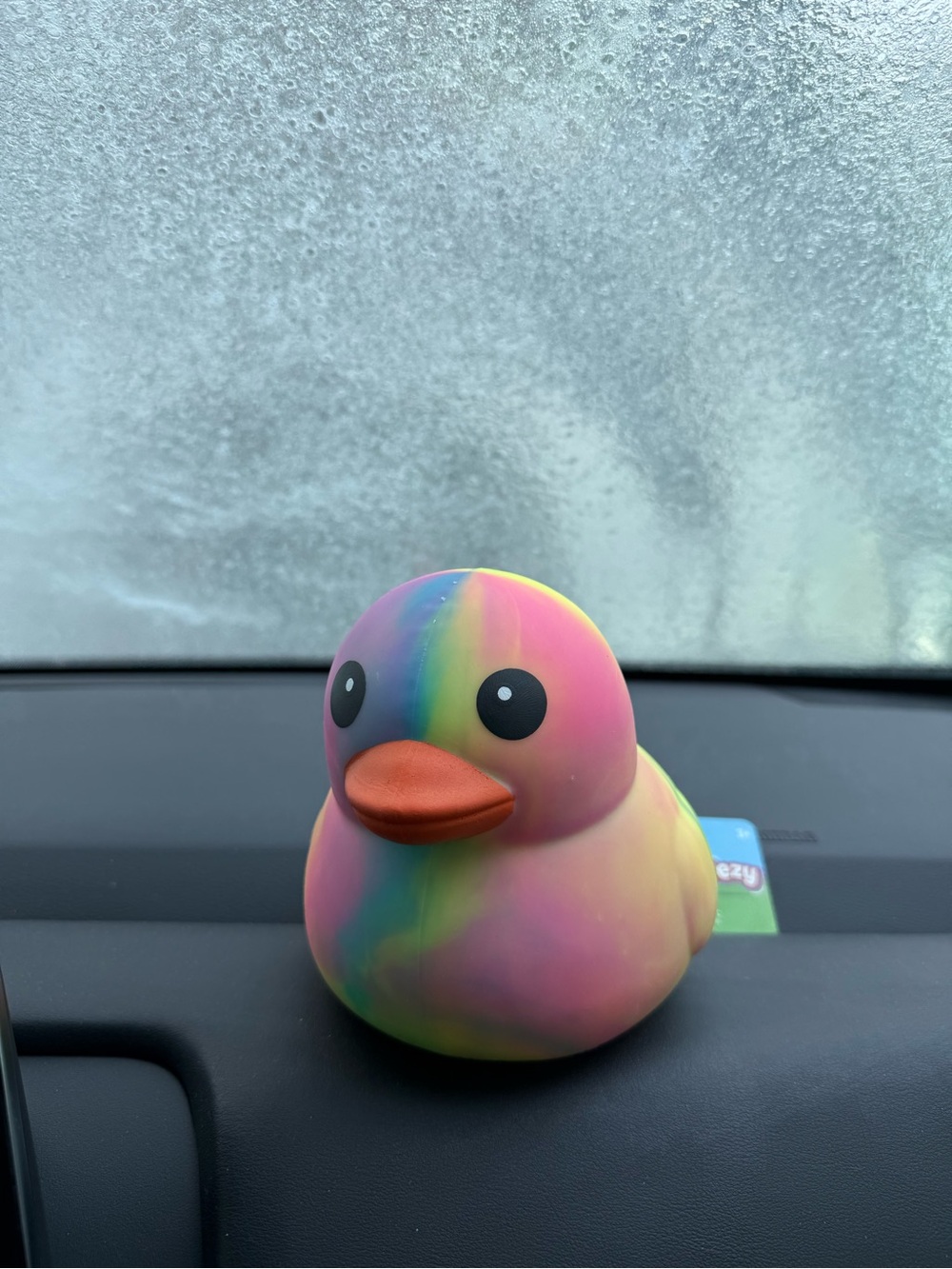 Sunny Days Jumbo Squeezy Tie-dye Duck